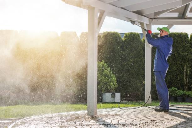Best Animal Enclosure Cleaning  in Park Layne, OH