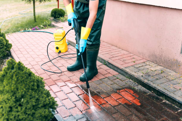 Best House Exterior Washing  in Park Layne, OH